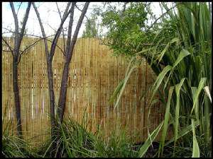 bamboofence-1.jpg